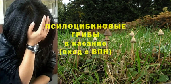 ALPHA-PVP Арсеньев
