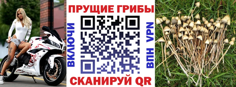 Галлюциногенные грибы мухоморы  как найти закладки  Еманжелинск 